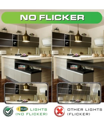 Bombilla Vintage REGULABLE 5W A60