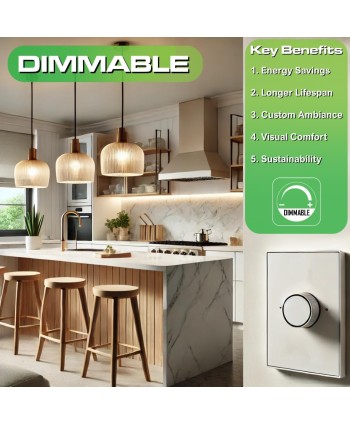 Bombilla Vintage REGULABLE 5W ST58