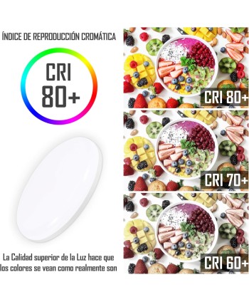 Downlight LED Techo Superficie, Plafones Para Techo LED