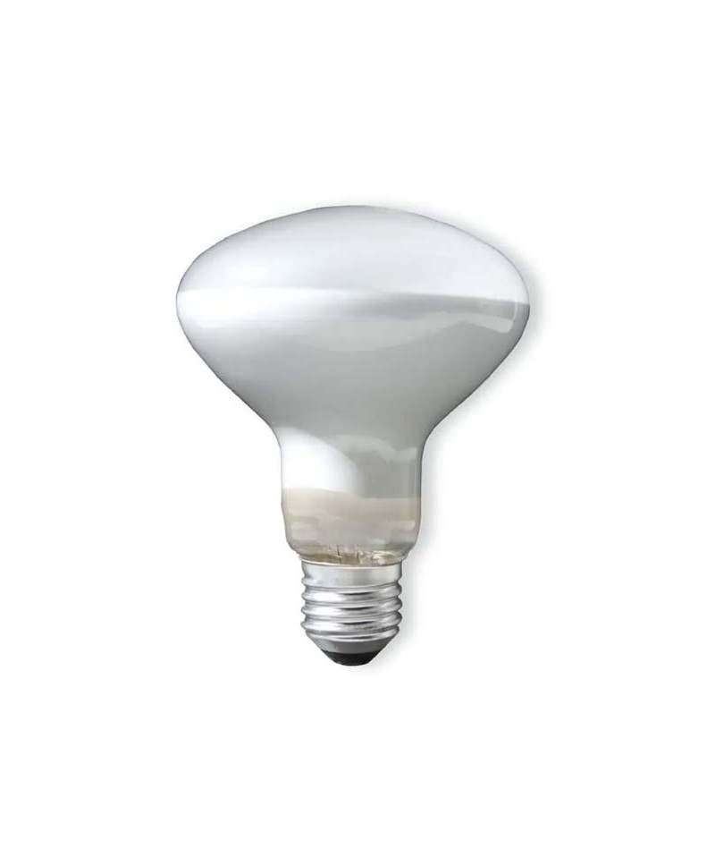 CLAR-  REFLECTORA R90 MATE 100W 230V E27