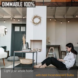 Bombilla Para Horno E14 40W, bombilla de horno.