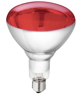 Bombilla Infrarrojo 250W...