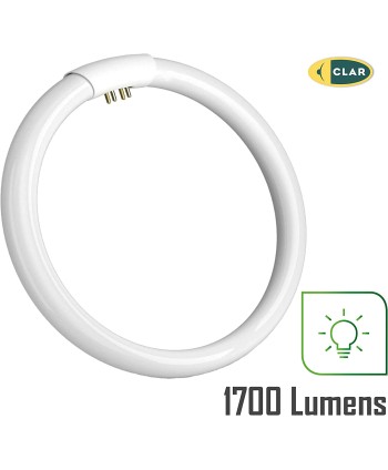 Tubo Fluorescente Circular de 32W Ø 29,5 cm
