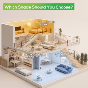 Downlight Regulable CCT 4W Blanco Ø55-68mm-4W-110°