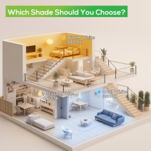 Downlight Regulable CCT Negro 7W Corte Ø66-75mm 110º