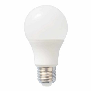 STANDARD LED E27  10W...